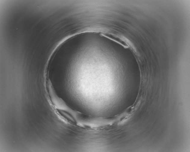 X0000068740854200605121542