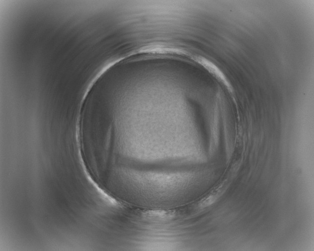 X0000068740855200605121542