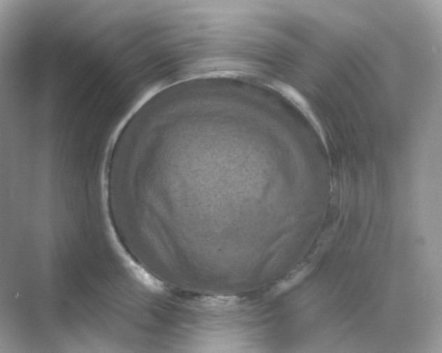 X0000068740859200605121542