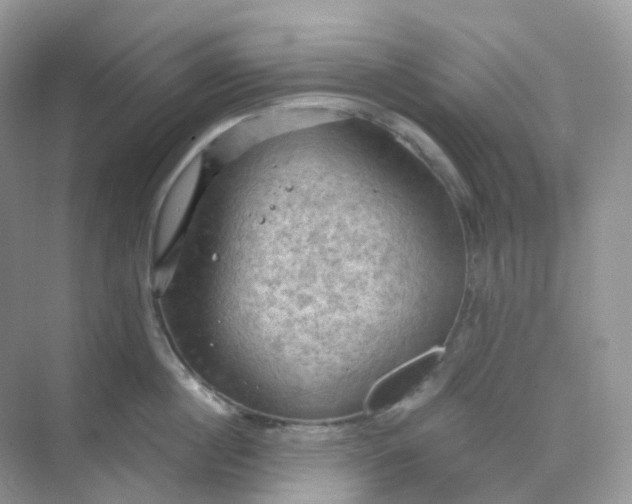 X0000068740860200605121542