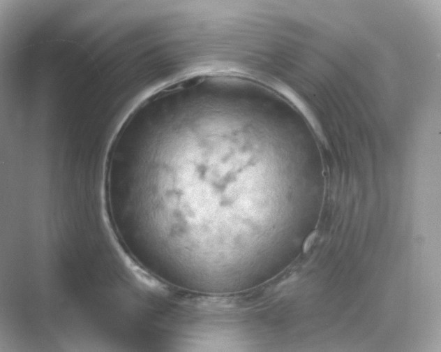 X0000068740861200605121542