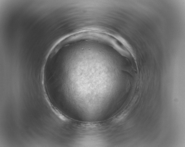 X0000068740862200605121542