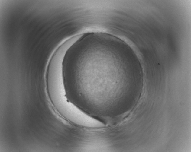 X0000068740864200605121542