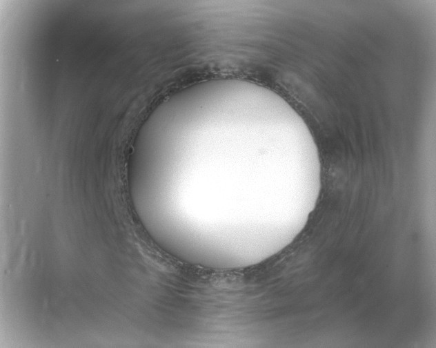 X0000068740865200605121541