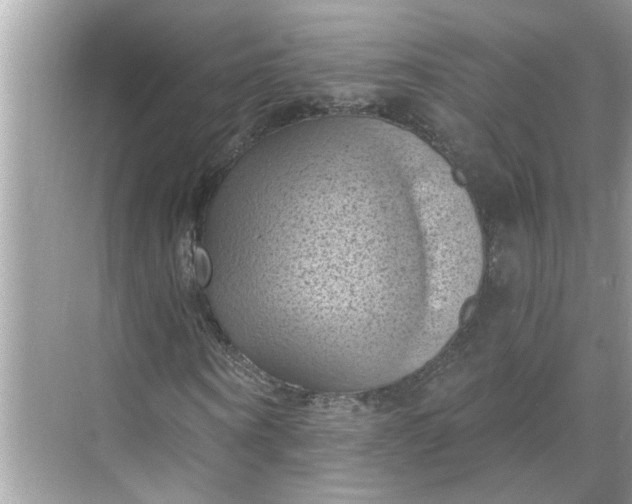 X0000068740866200605121541