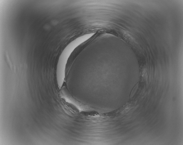 X0000068740868200605121541