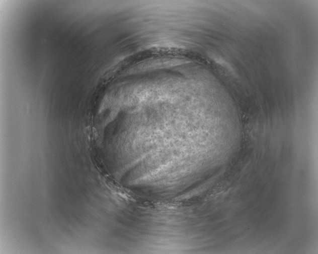 X0000068740870200605121541