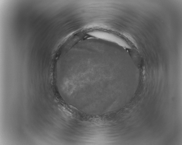 X0000068740872200605121541