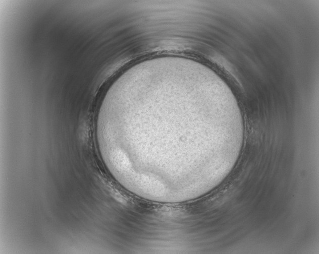 X0000068740874200605121541