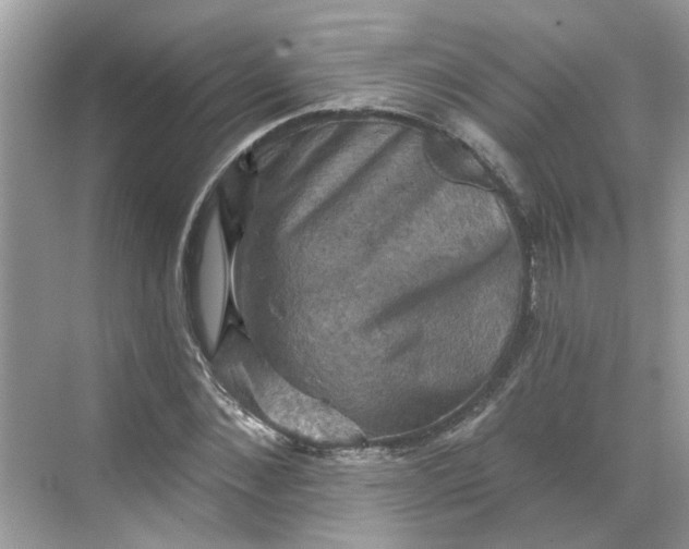 X0000068740876200605121541