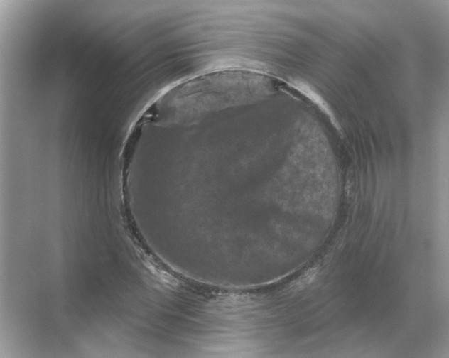 X0000068740877200605121541