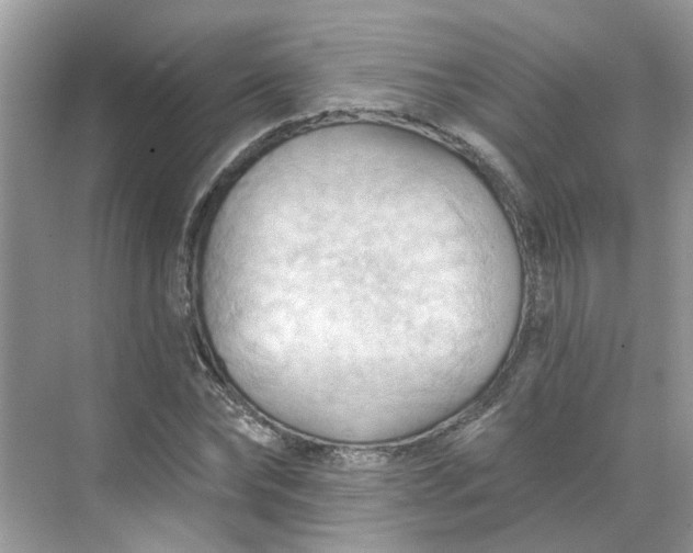 X0000068740878200605121541