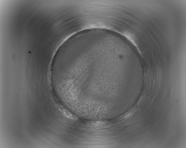 X0000068740879200605121541