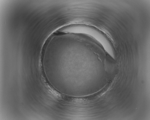 X0000068740880200605121541