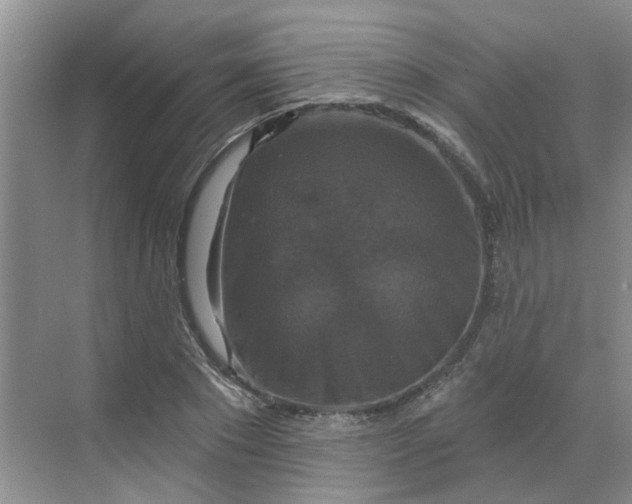 X0000068740881200605121541