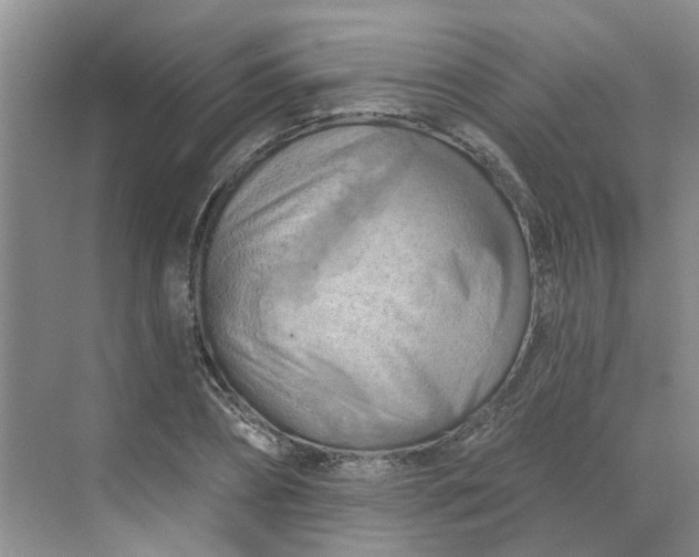 X0000068740882200605121541