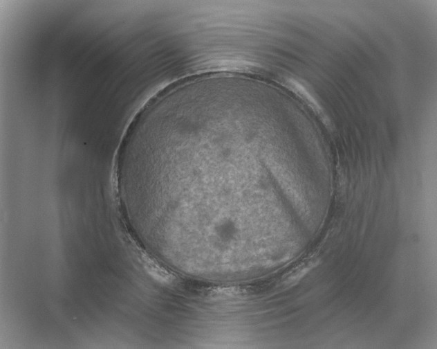 X0000068740883200605121541