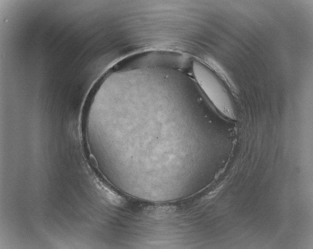 X0000068740884200605121541