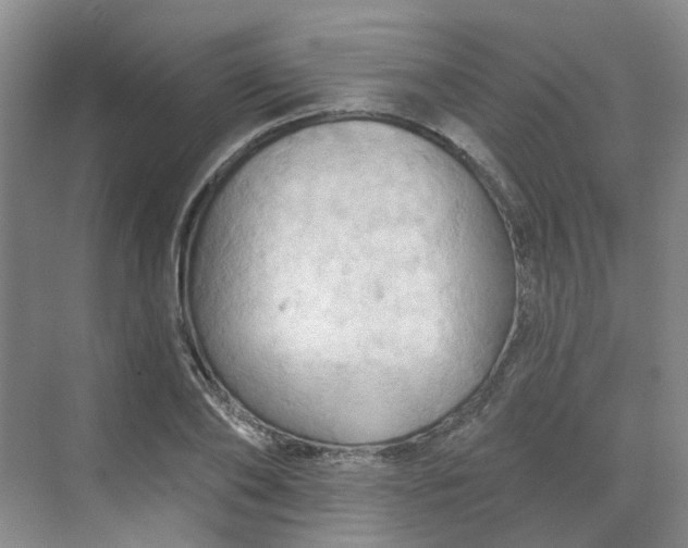 X0000068740886200605121541