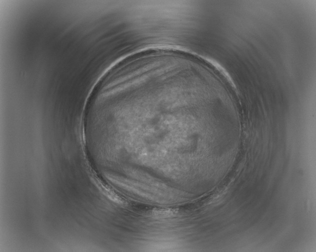 X0000068740887200605121541