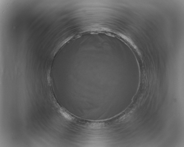 X0000068740889200605121541