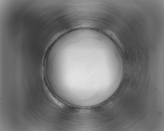 X0000068740890200605121541