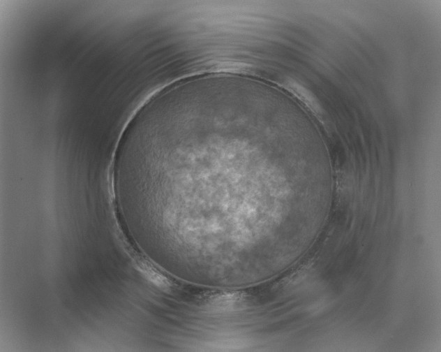 X0000068740891200605121541