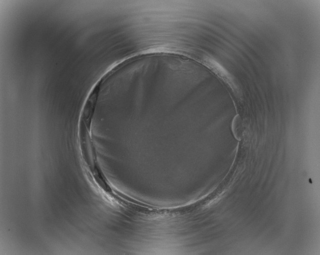 X0000068740892200605121541