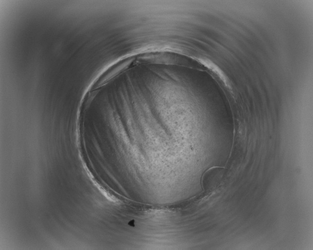 X0000068740894200605121541