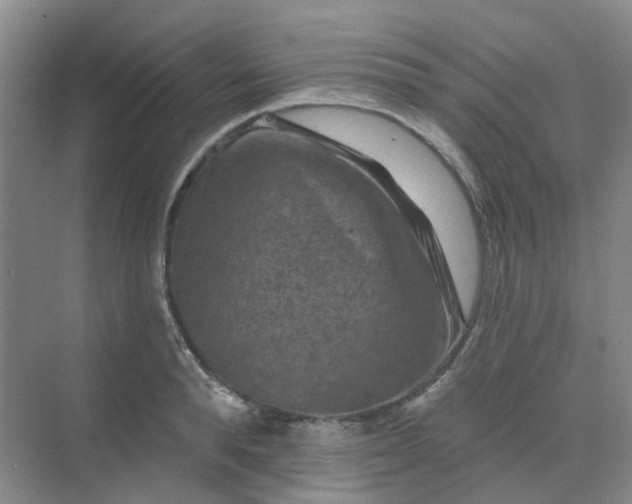 X0000068740896200605121541