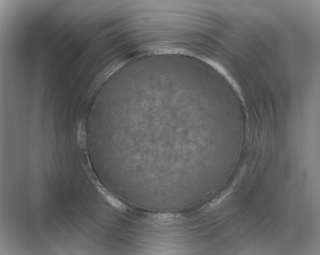 X0000068740897200605121541