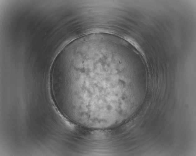 X0000068740898200605121541