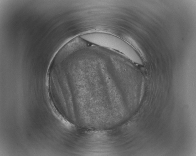 X0000068740900200605121541