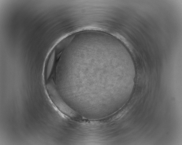 X0000068740902200605121541