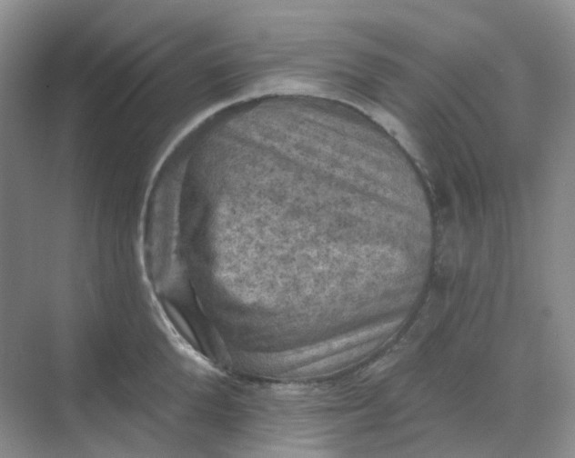 X0000068740904200605121541