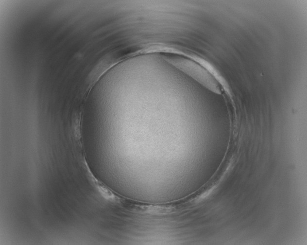 X0000068740905200605121541