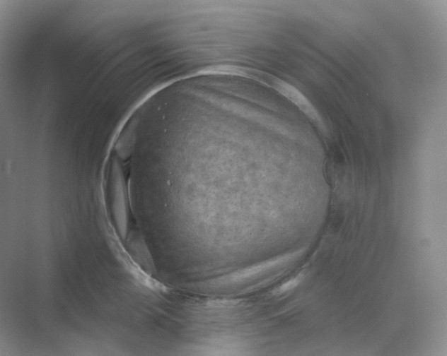 X0000068740908200605121541