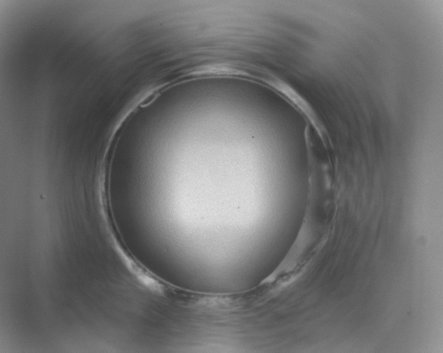 X0000068740909200605121541