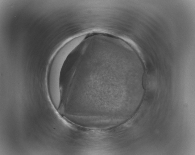 X0000068740910200605121540