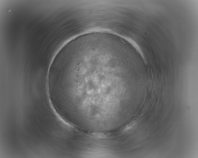 X0000068740911200605121540