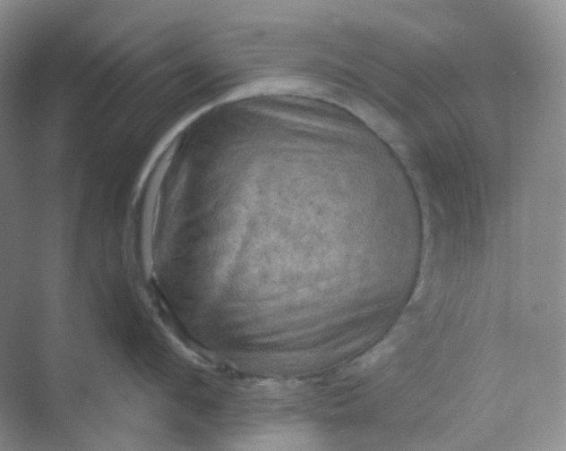 X0000068740912200605121540