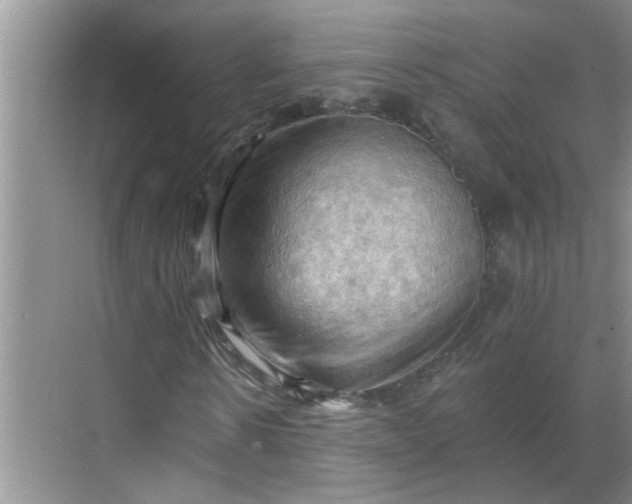 X0000068740914200605121540