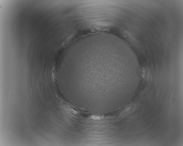 X0000068740915200605121540