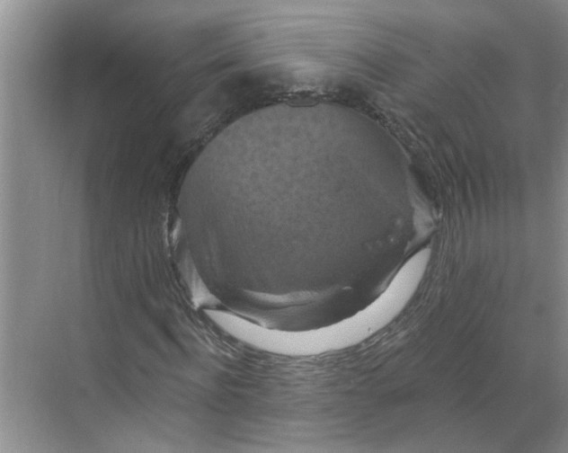 X0000068740916200605121540