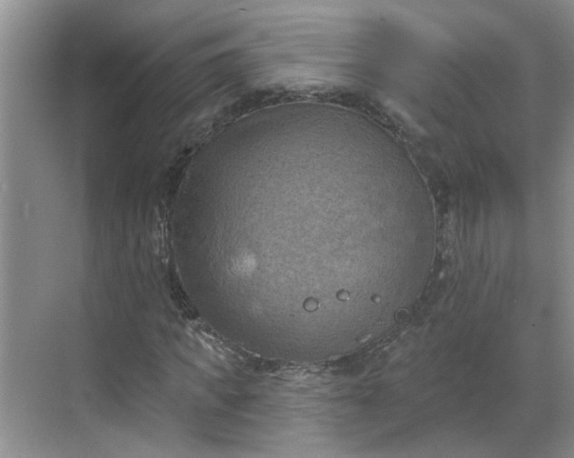 X0000068740917200605121540