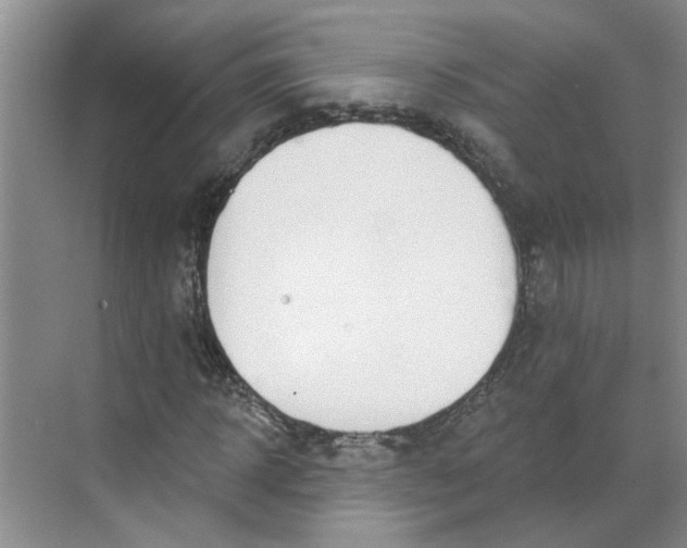 X0000068740918200605121540