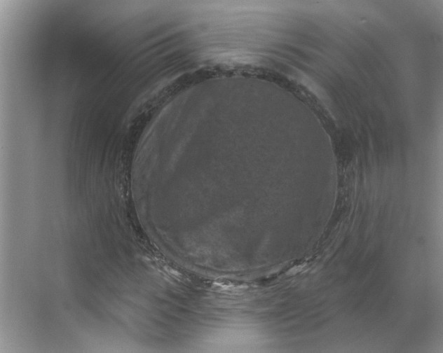 X0000068740919200605121540