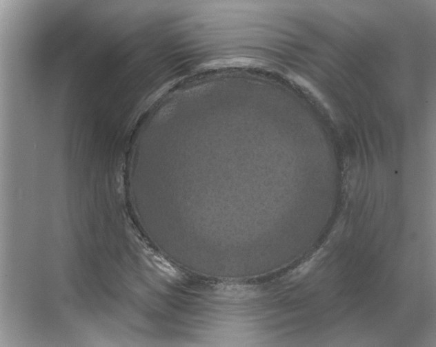 X0000068740921200605121540