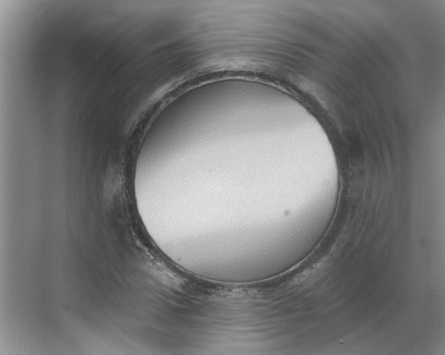 X0000068740922200605121540