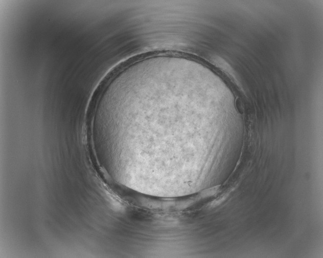 X0000068740924200605121540